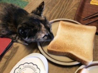 IMG_1352 IMG_1352-e1539502959784